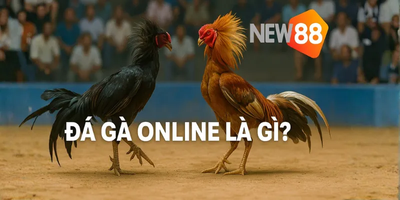 Đá gà online là gì?